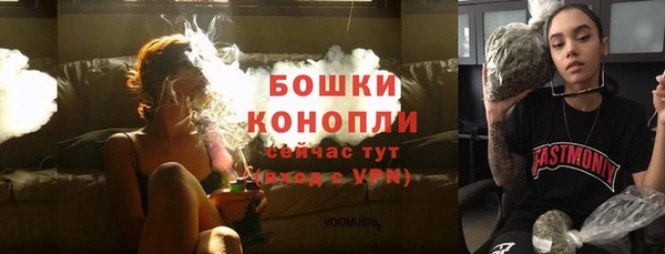 Альфа ПВП Сосновоборск