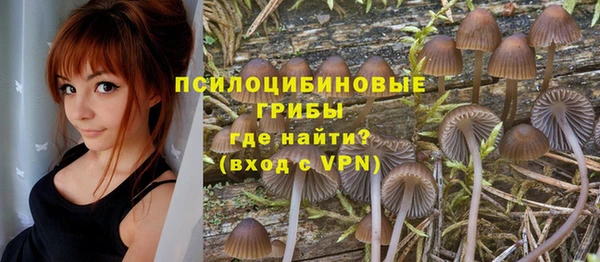 Альфа ПВП Сосновоборск