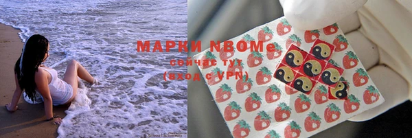 Альфа ПВП Сосновоборск