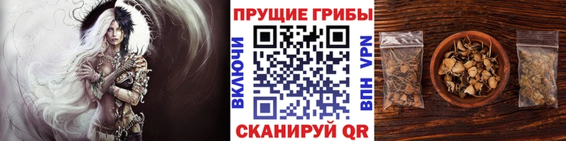 гидра рабочий сайт  Отрадная  Галлюциногенные грибы мухоморы 